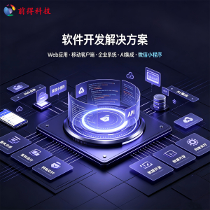 软件开发解决文案